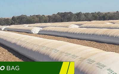 Entenda o custo de armazenagem de grãos na silo bag, cuidados e vantagens